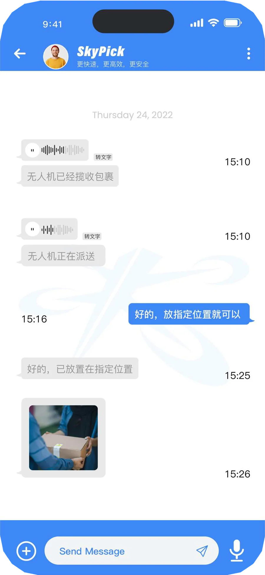 SkyPick 智能客服聊天界面