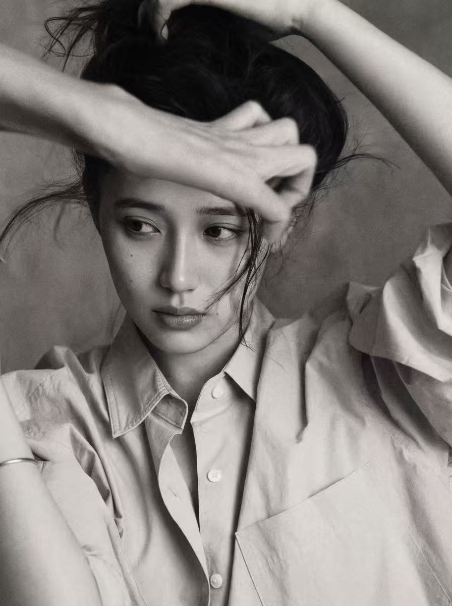 Portrait of Jiang Han