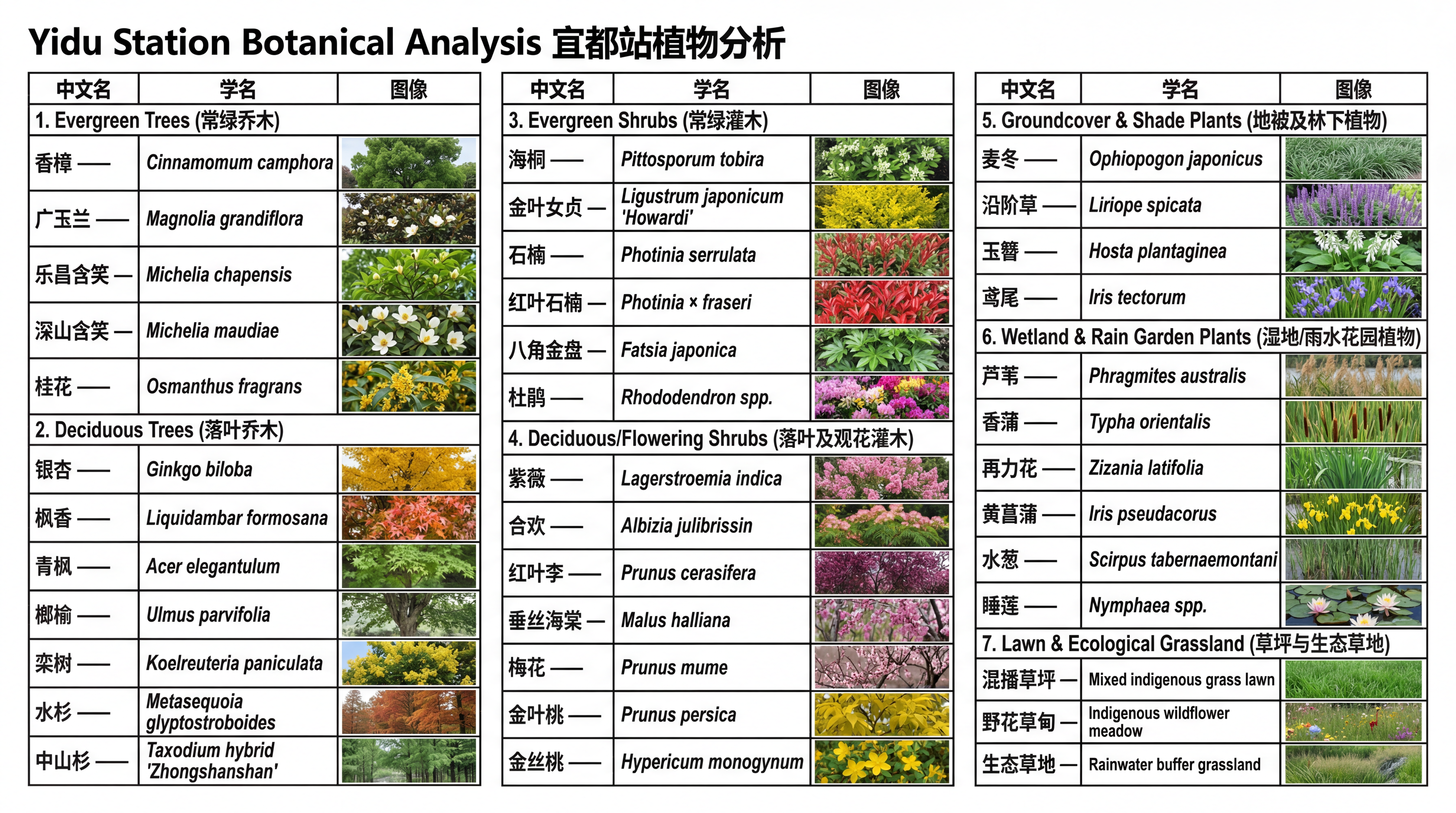Plant Analysis List
